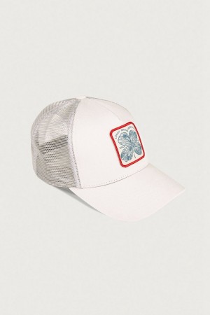 Lucky Brand Clover Patch Trucker Women's Hat Grey | South Africa-ECH265874