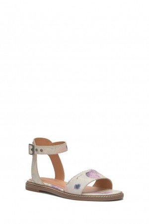 Lucky Brand Kimaya Ankle Strap Women's Sandals Multicolor | South Africa-UGB506478