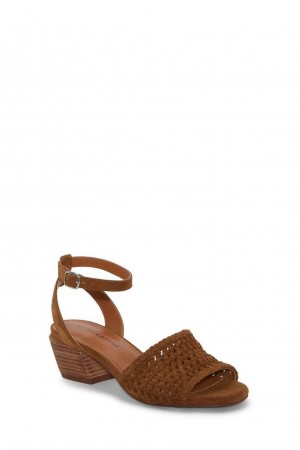 Lucky Brand Modessa Ankle Strap Heeled Women's Sandals Brown | South Africa-XFK143892