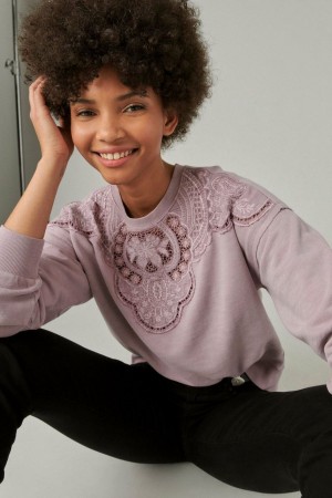 Lucky Brand Schiffley Cutwork Women's Pullover Pink | South Africa-HDI078413